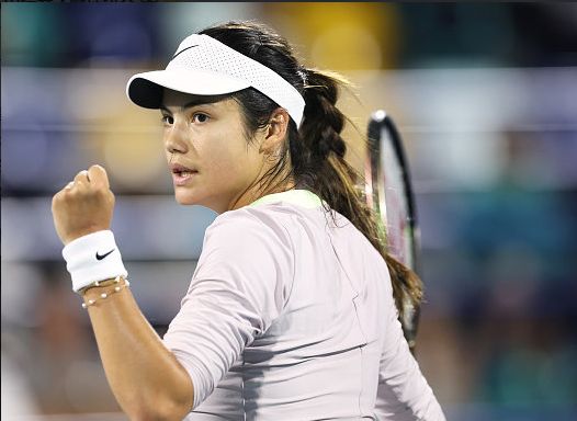 对抗的适配 对抗的适配